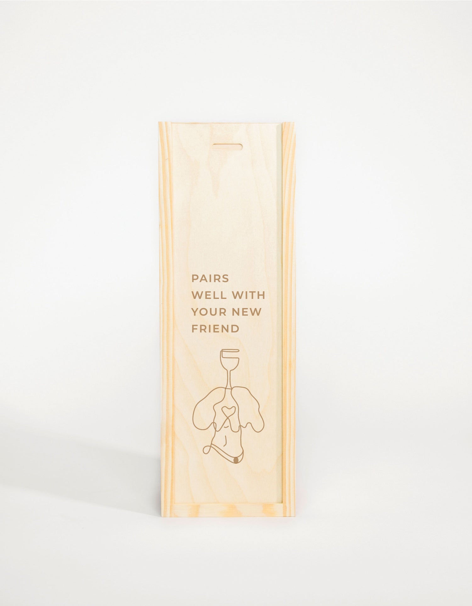 PAIRS WELL WITH NEW FRIEND DOG